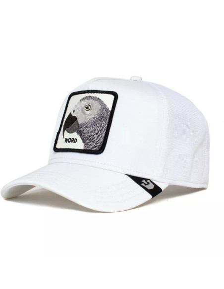 Gorra Goorin Bros Platinum World