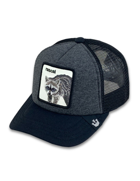 Gorra Goorin Bros Racacoonie Gris Junior