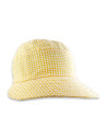 VISERA INDIVAR