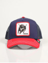 Gorra Goorin Bros RACING BULL