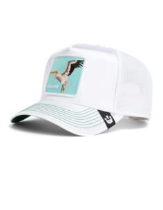 Gorra Goorin NOT INTO YOGA