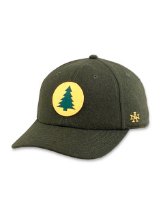 Gorra American Needle MAINE CENTRAL