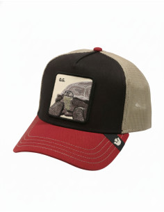 Gorra Goorin TRICOLOR TORTIOUSE