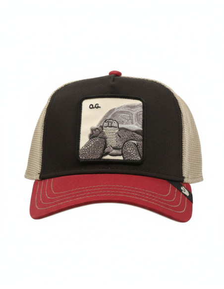 Gorra Goorin TRICOLOR TORTIOUSE
