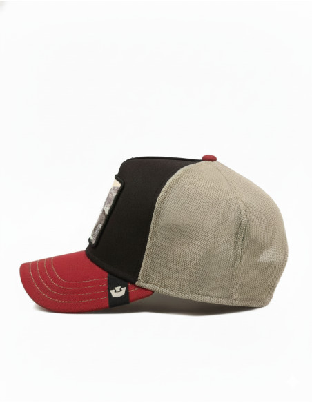 Gorra Goorin TRICOLOR TORTIOUSE