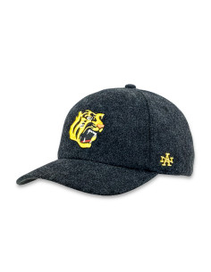 Gorra AMERICAN NEEDLE HANSHIN TIGER