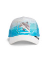Gorra Goorin Dolphin in the Element