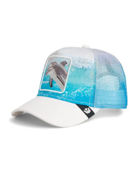 Gorra Goorin Dolphin in the Element