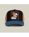 Gorra Goorin Savage Dawg
