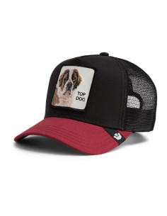 Gorra Goorin The Top Dog 2