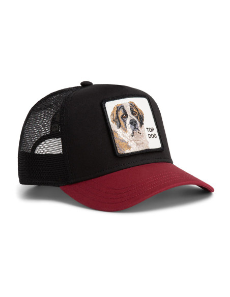 Gorra Goorin The Top Dog