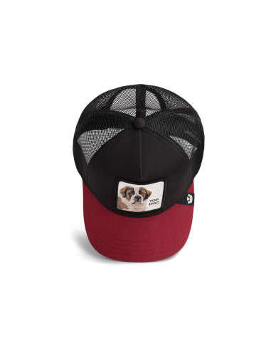 Gorra Goorin The Top Dog
