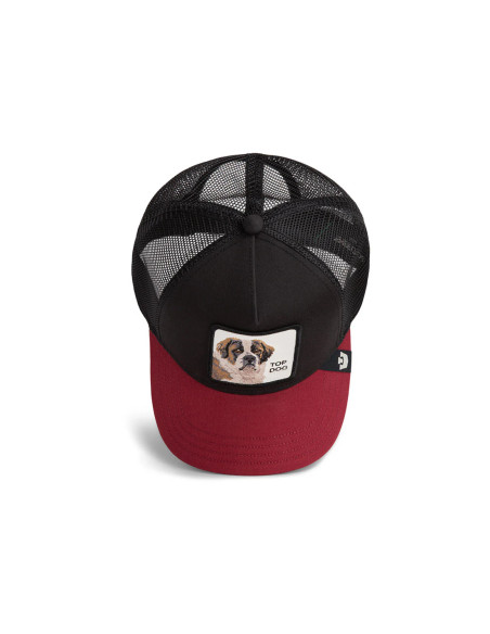 Gorra Goorin The Top Dog