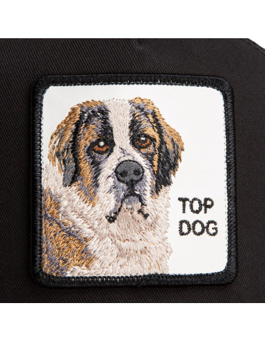 Gorra Goorin The Top Dog