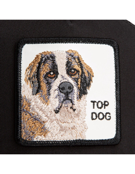 Gorra Goorin The Top Dog