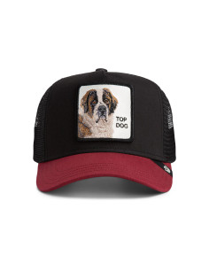 Gorra Goorin The Top Dog